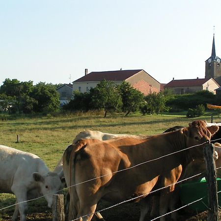 Chambres D'Hotes Au Presbytere Racrange ภายนอก รูปภาพ