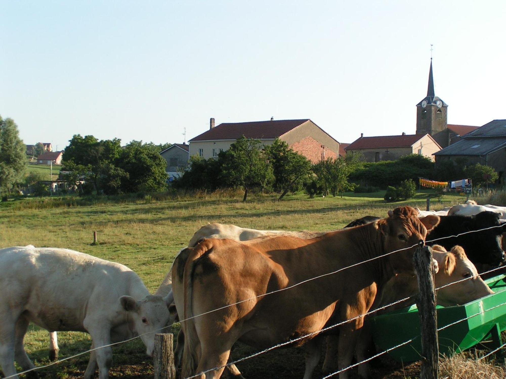 Chambres D'Hotes Au Presbytere Racrange ภายนอก รูปภาพ